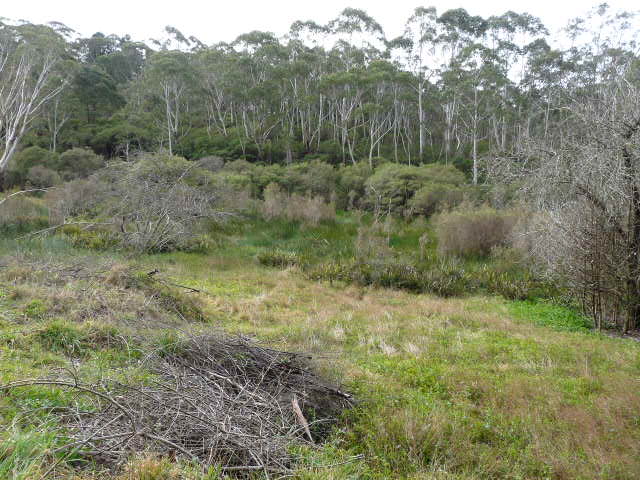 The Gully, Katoomba